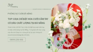 studio-da-nang