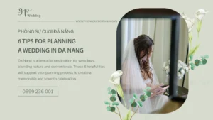 studio-da-nang