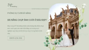 studio-da-nang