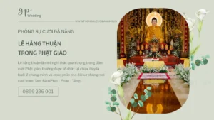 studio-da-nang