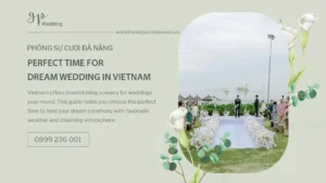 studio-da-nang
