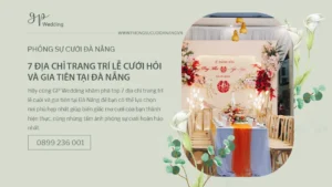 studio-da-nang