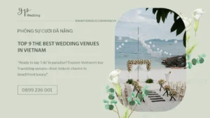 studio-da-nang